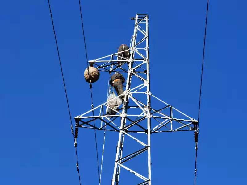 淇￠槼渚涚數鍏徃澶滄櫄鎶慨瑙嗛,淇￠槼鐢电綉鍏徃