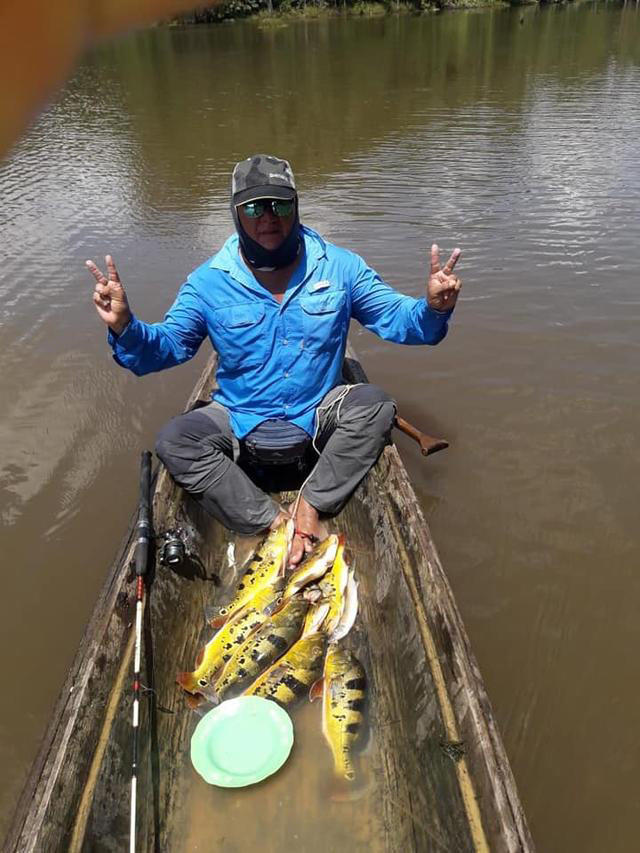 孔雀鱼凶猛,美丽凶猛观赏鱼