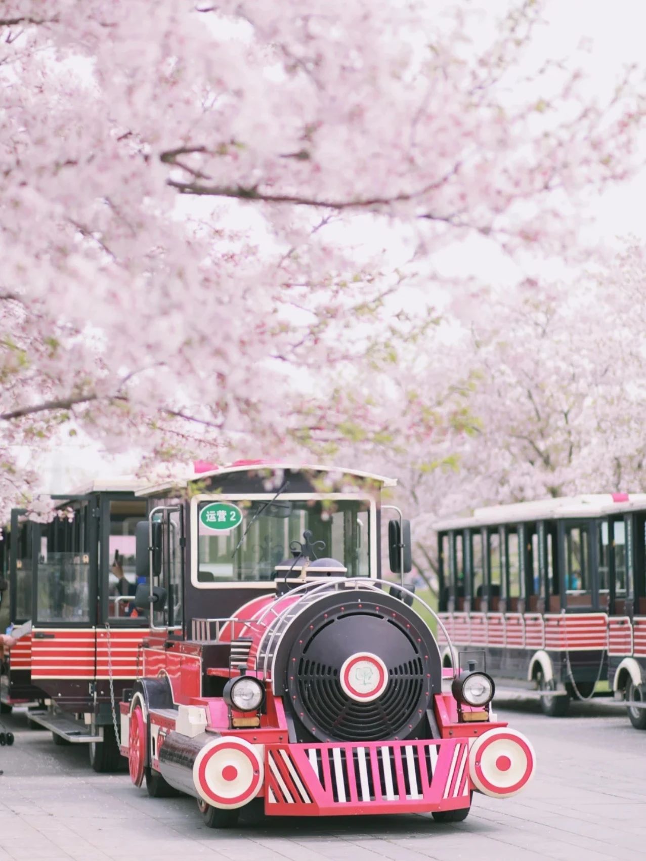 上海的热搜,最近热搜的上海