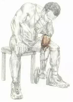 十款便宜又好用的家居好物 (家居必买十大好物)