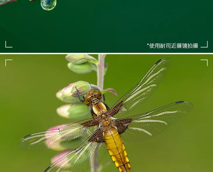 70-200f4能拍啥,70200套件安装视频