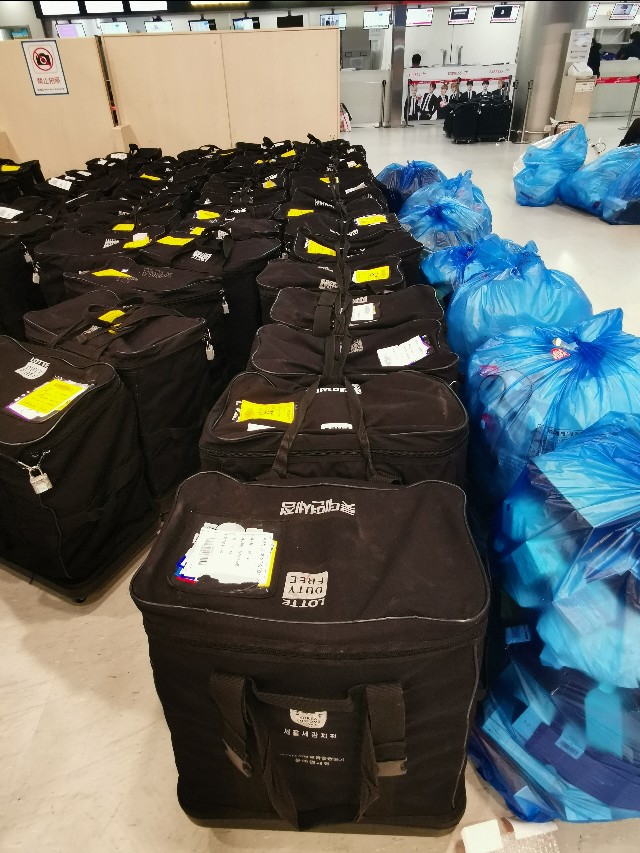 在济州岛机场,有群特殊的人群,每天都在做同一件事情