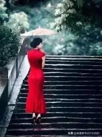 八月未央美文,八月未央美文分享