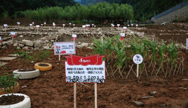 在娄山栖谷，遇见向往的诗意生活