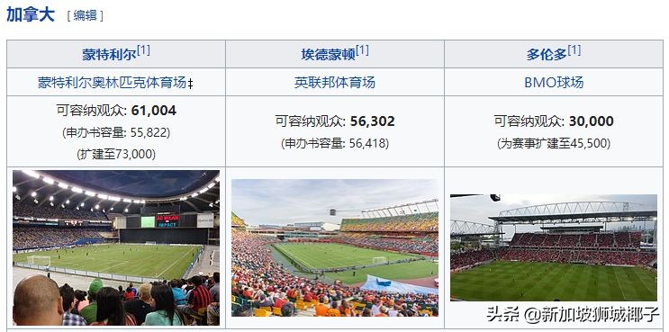 如果胜新加坡能进世界杯吗,新加坡有没有进世界杯