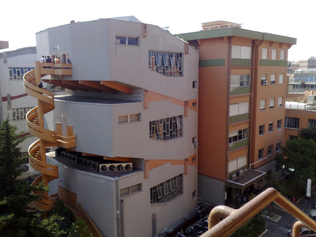 700多年历史的罗马大学，古典学与古代史专业世界排名第1