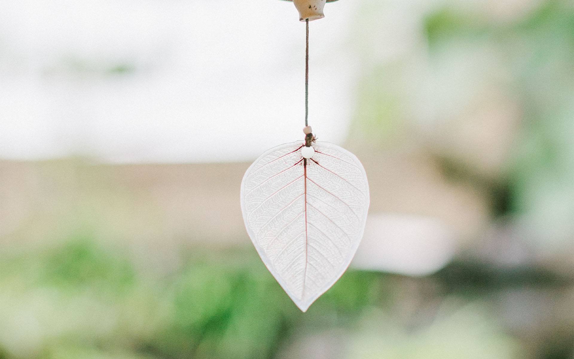 家庭心理治疗有效果吗,家庭心理疾病