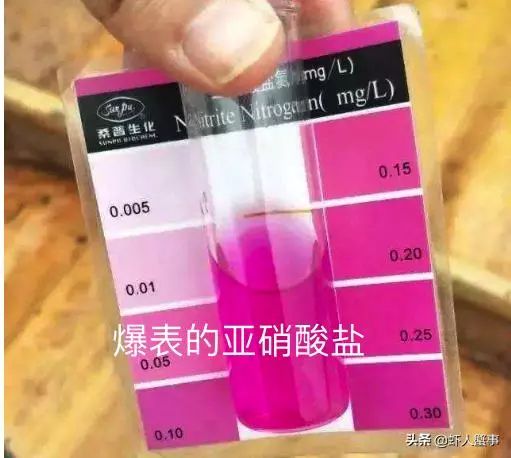 青蟹脱壳就死什么原因,河蟹无壳伤亡原因与处理