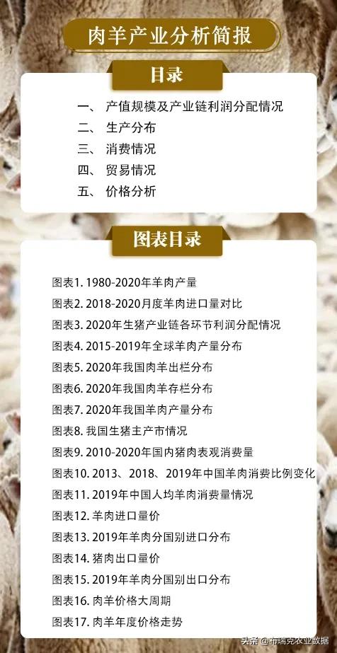 中国肉羊市场分析报告,羊产业动态分析报告