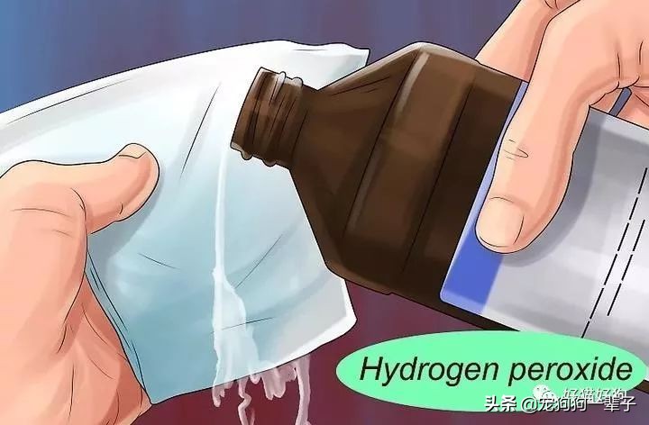 狗狗8个月还是乱拉乱尿怎么办,狗狗出了围栏就乱尿咋回事