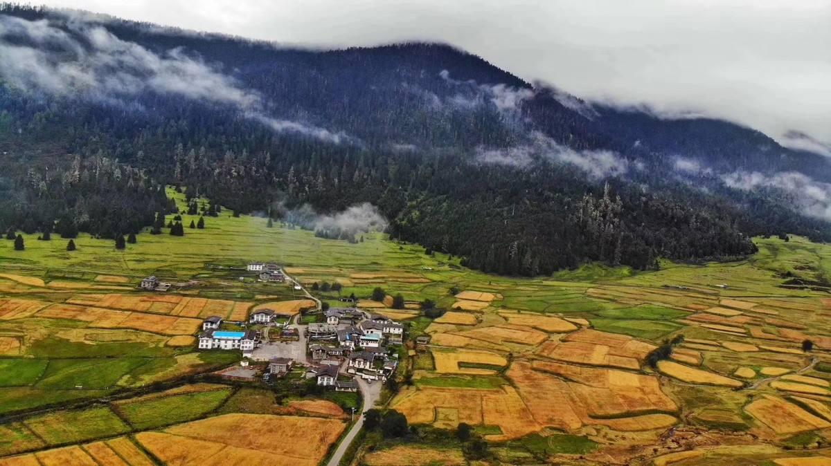 孟浩然诗句中最经典的一句,孟浩然最著名的一句古诗