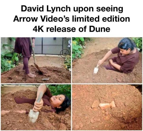 10万投资打水漂,1600亿投资该何去何从