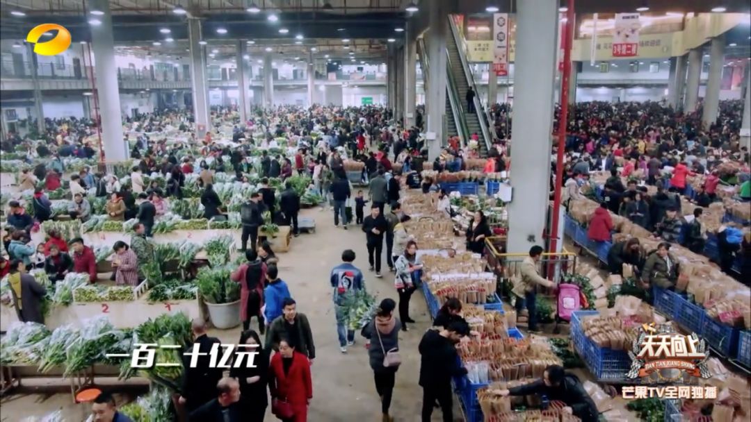 花卉市场卖花和鲜花店卖花,最繁华的花卉市场