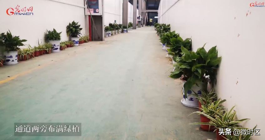 新冠肺炎治疗费自费,新冠肺炎全国医疗费