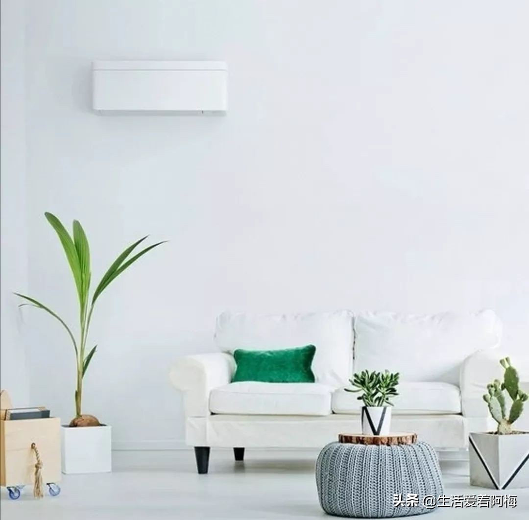 新鞋里面的纸团怎么用,鞋子里纸团有什么妙用