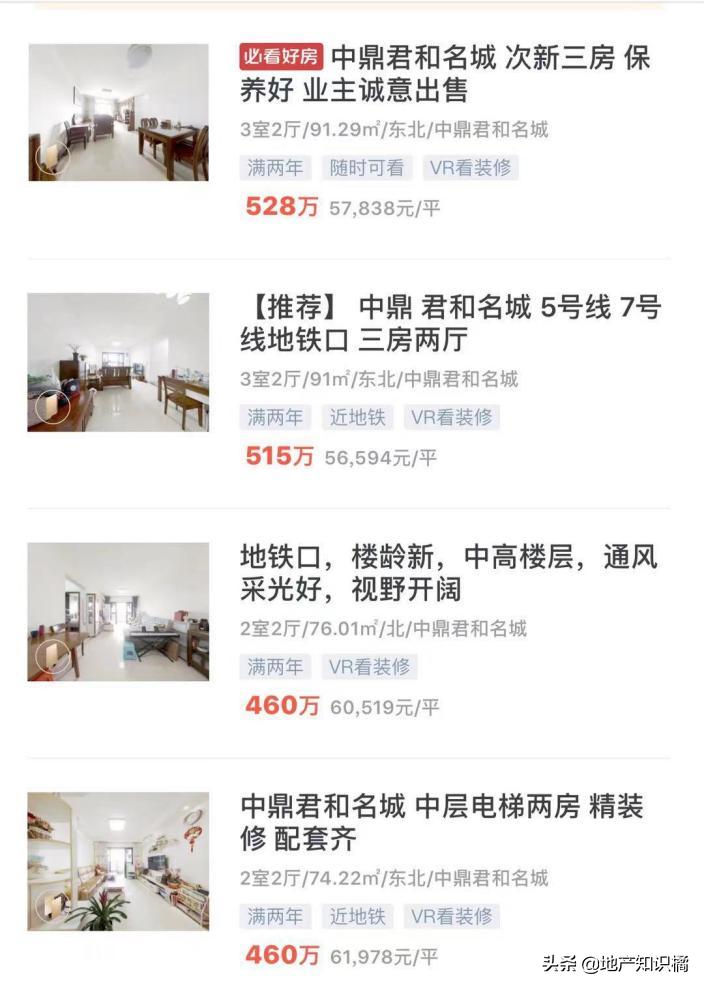 “鸽王”老黄埔终于要上新了！你还在等吗？