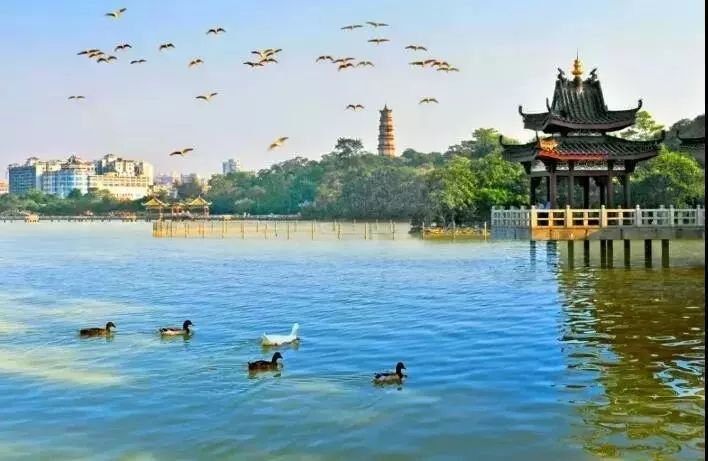 广东5a级景区免费开放,广东省5a级风景区有多少个