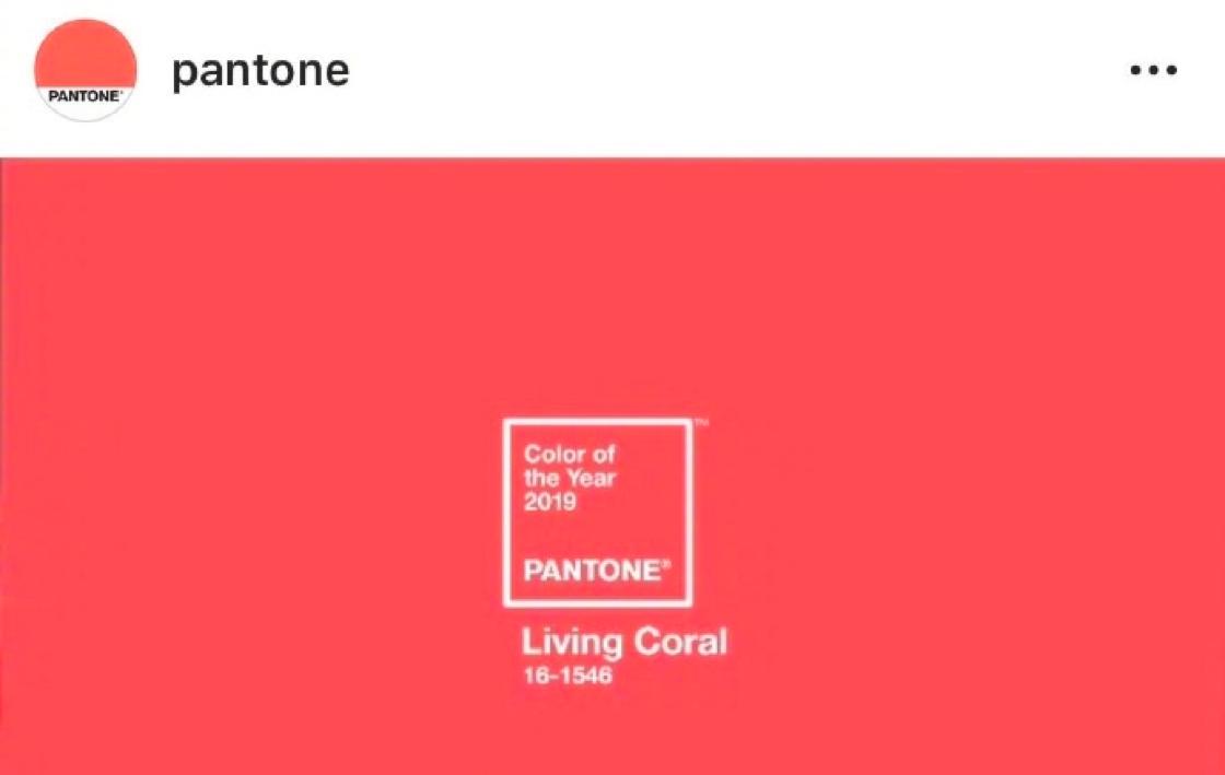 最好的陪伴就是和爱的人一起跨年 (和最爱的人一起跨年的感受)