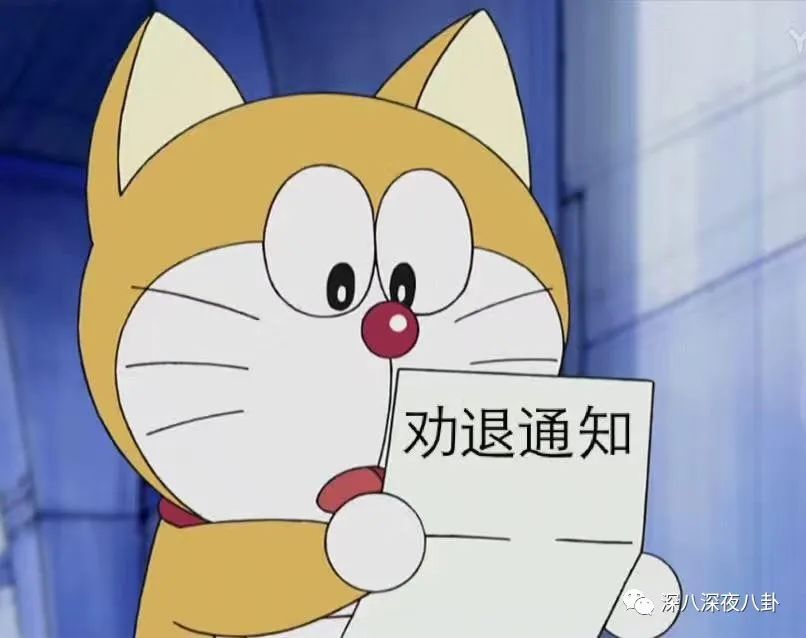 这波韭菜割得有点快,新一波韭菜又该熟了