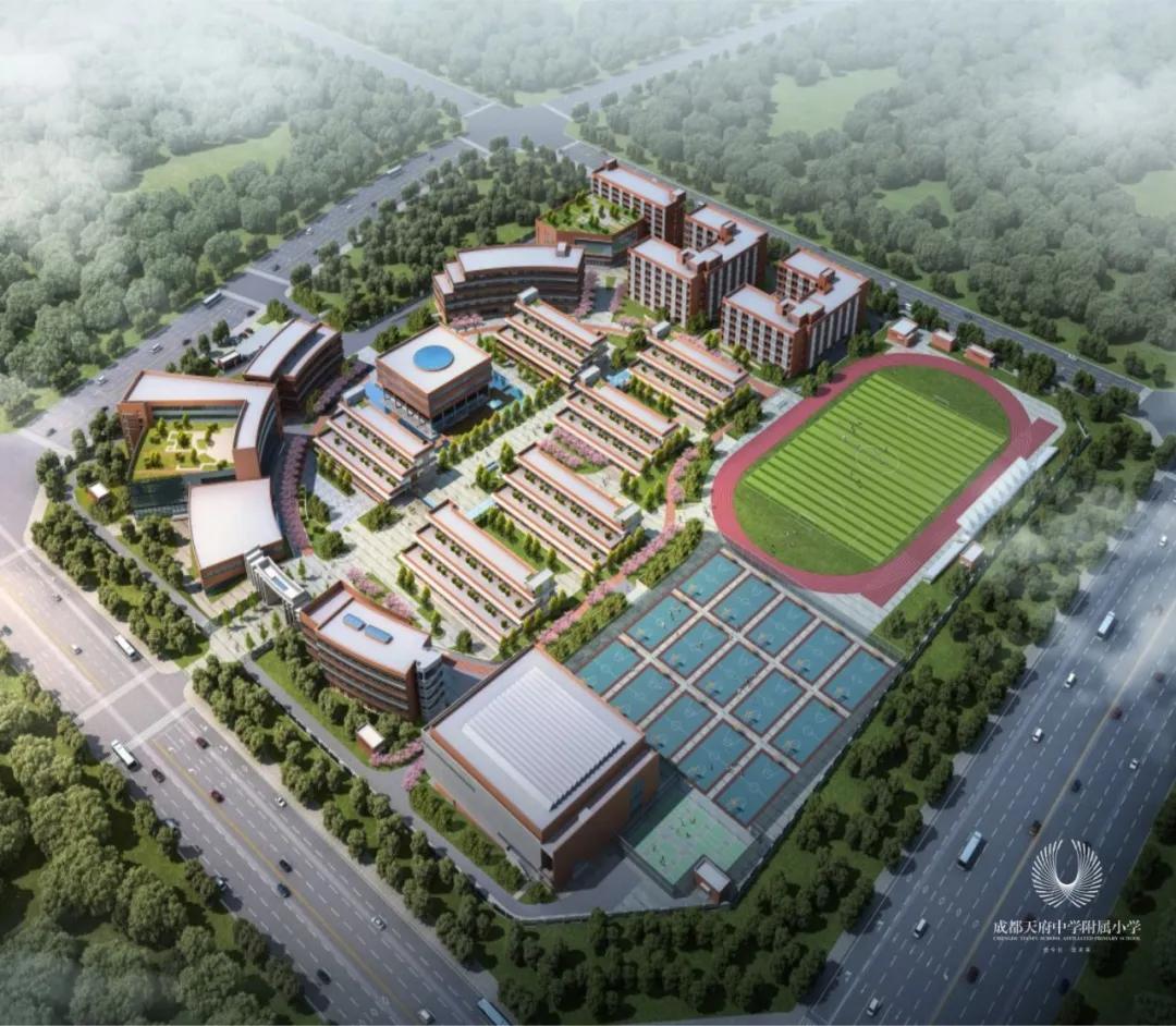 明年开学的天府中学附属小学怎么样?我们跟陆枋校长聊了聊