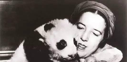 大熊猫原来是这样叫的,大熊猫是怎么被称为国宝的