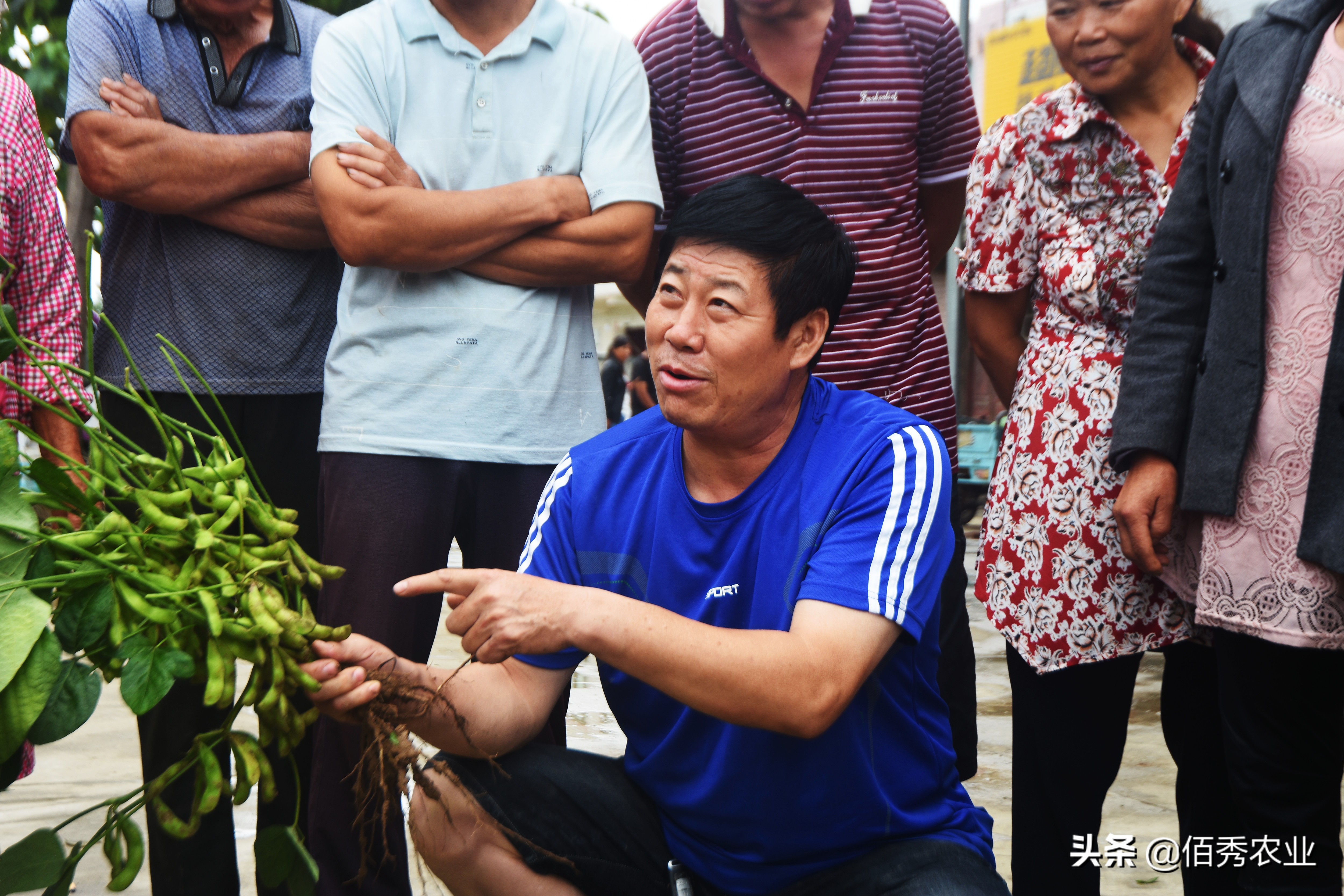 农村人怎么创业致富门路有哪些,2023年致富带头人都有什么专业