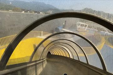 童年主题的景观设计,高端儿童景观设计