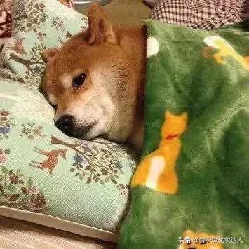 大牌口红三十几块是正品吗,无智商税的口红有哪些牌子