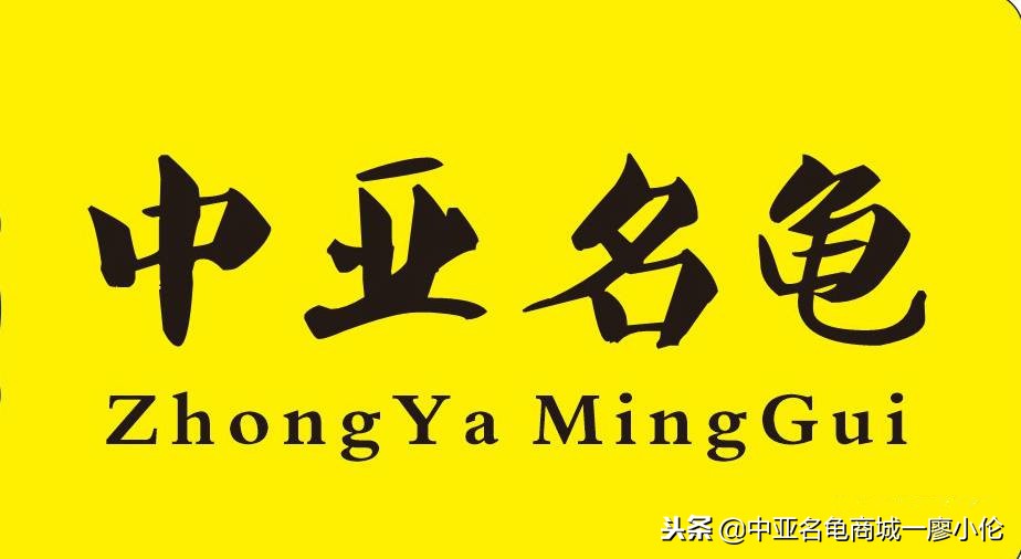 中国养殖市场,中国养殖的发展及现状