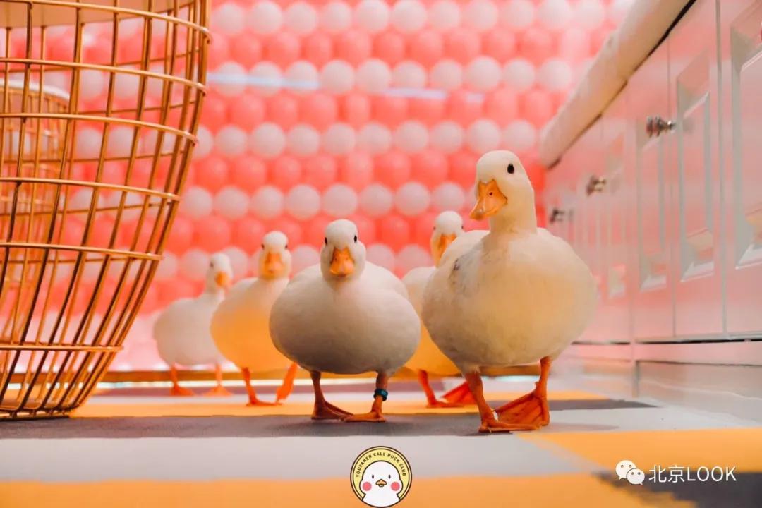 30+大牌新店·已加入“天街星系”|北京LOOK