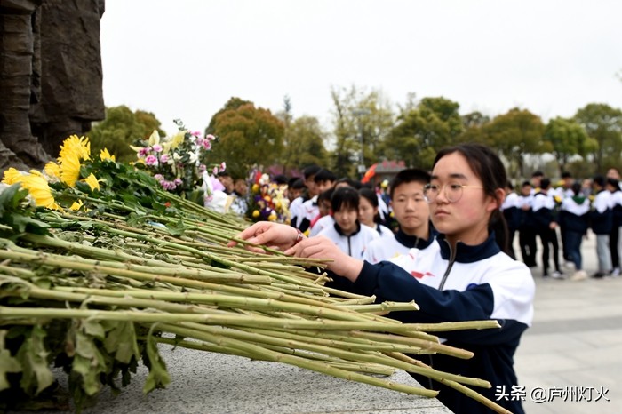 育英学校合肥,合肥市思政微课堂