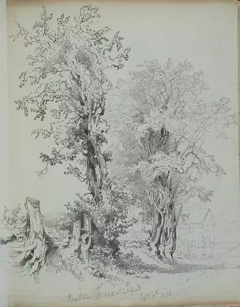 这些绝美的摄影每一张都值得珍藏,40张经典素描风景图快来临摹吧