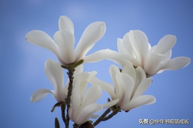 40年老屋被拆后续,四世同堂的老房子