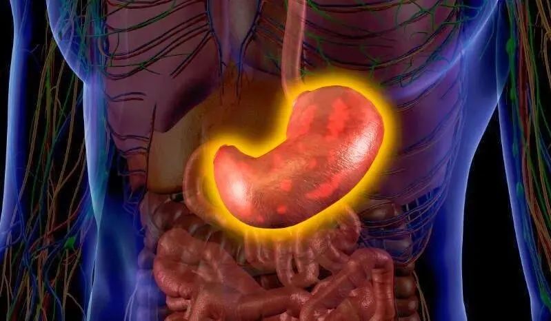 胃部超声能吃饭吗,小孩子能做超声胃镜吗