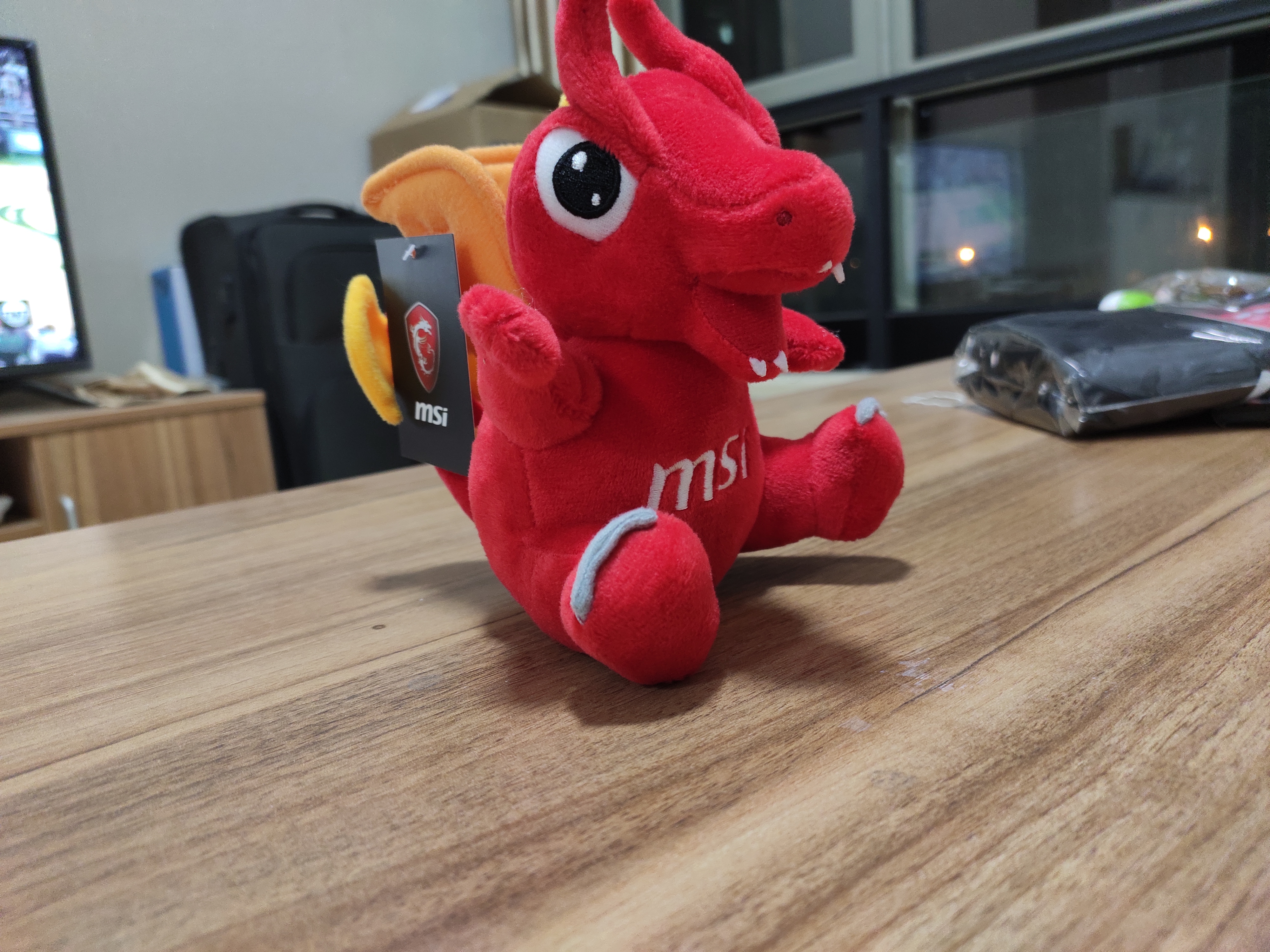 55公分的红龙要多少钱,55红龙什么价格