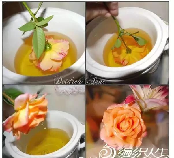 如何把新鲜的花弄成永生花,怎么才能将鲜花变干花