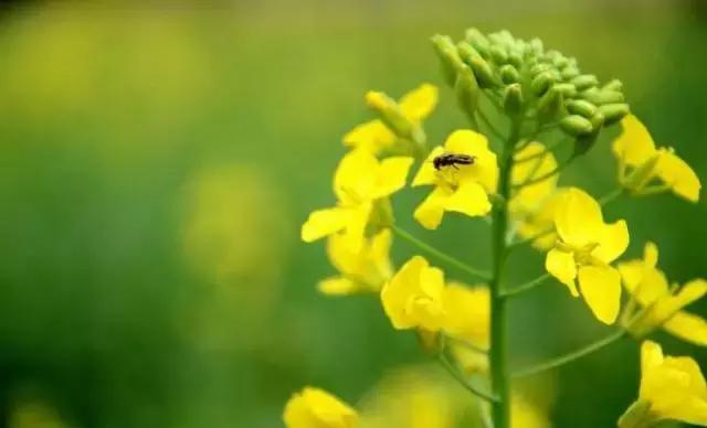 天气早晚秋寒明显双休日气温回升,本周以晴好天气为主怎么说