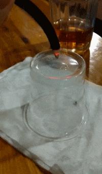 大叔刷百万礼物,大叔刷100万见网红