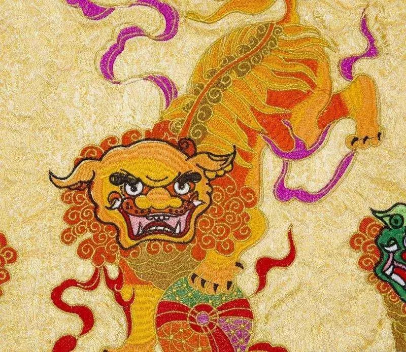 美洲狮在热带雨林,美洲狮在热带雨林会留下什么踪迹