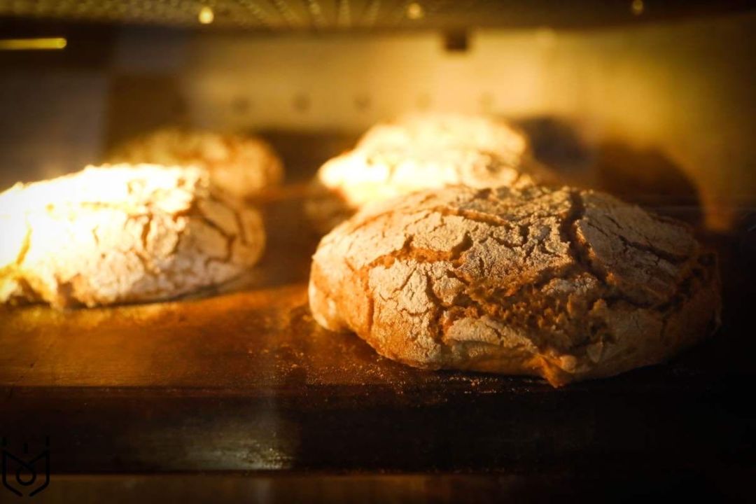 面包的烘焙方法及配方 (正宗日式面包的配方)