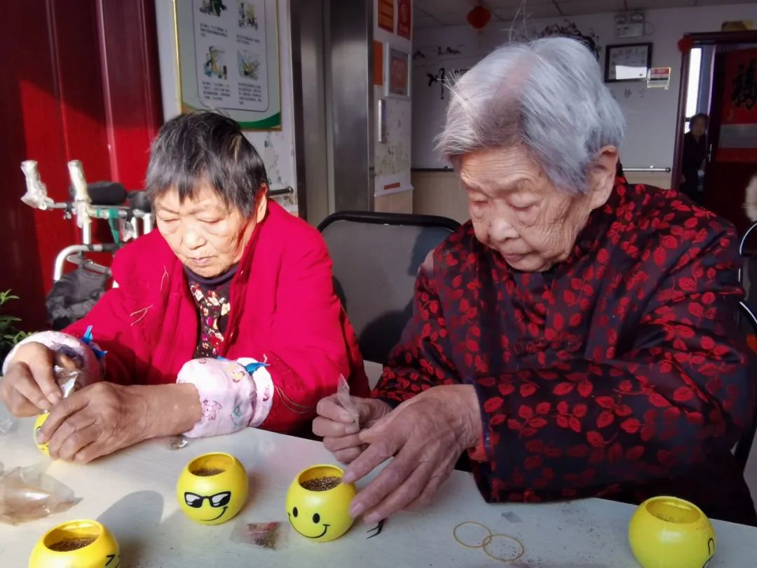 园艺种植小组活动,多彩活动健康成长