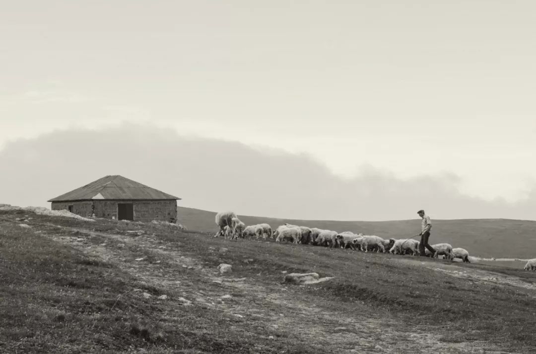 摄影小白适合拍什么,摄影小白拍人像用什么好