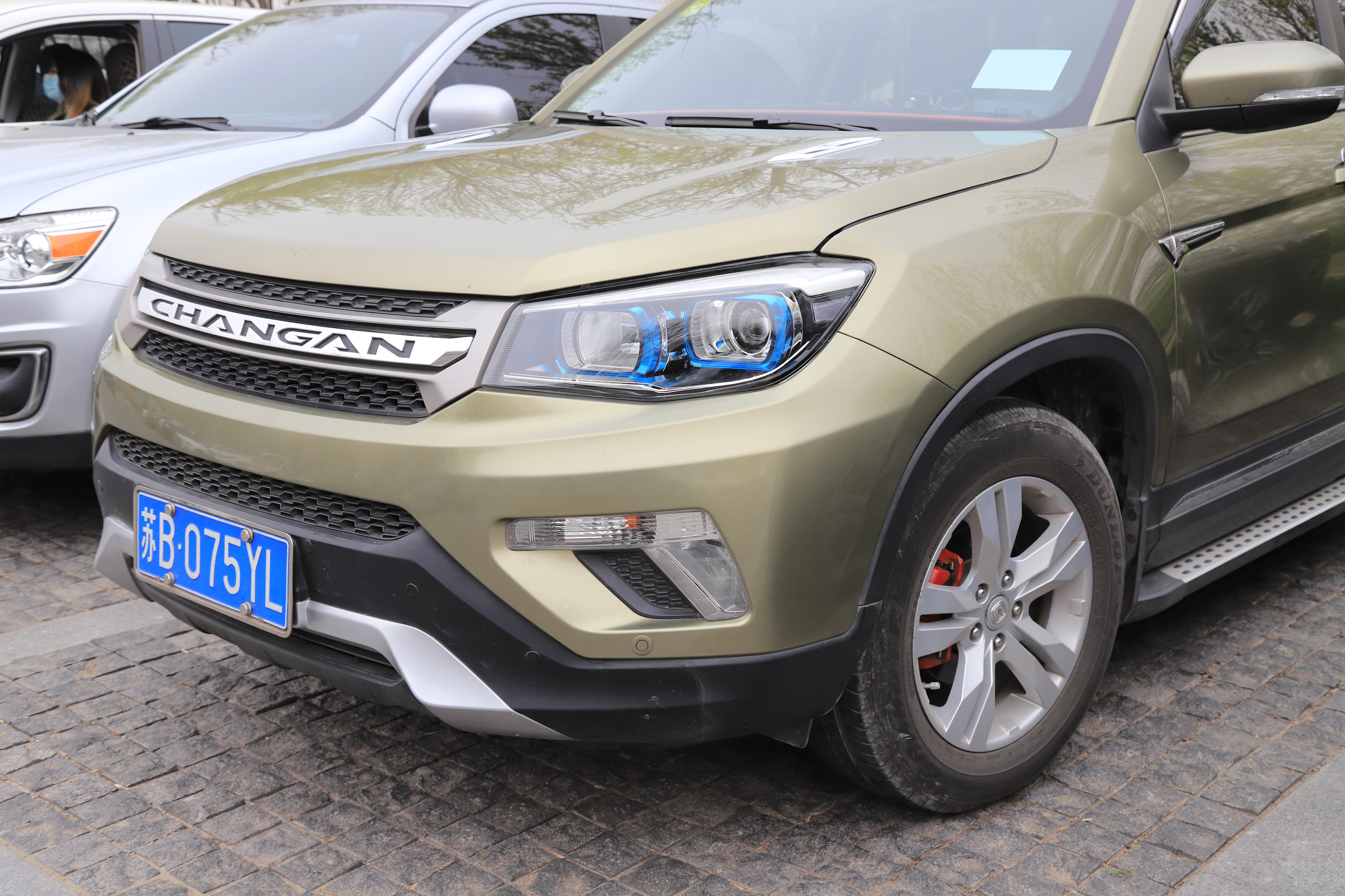 新奇好玩的公园,西青郊野公园开放最新通知