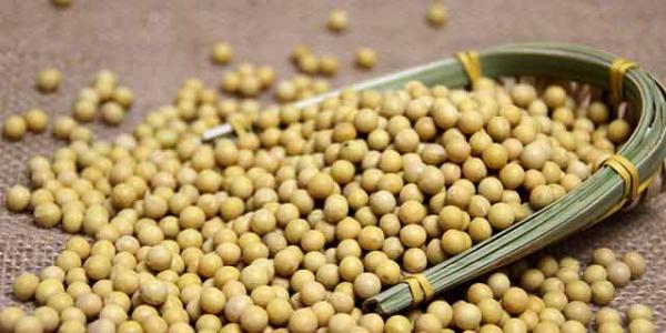 你和女神只差一杯茶的距离,你和女神之间只差一支口红