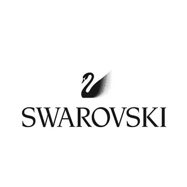 施华洛世奇的恶魔之眼,施华洛世奇蓝色天鹅跳动的心测评