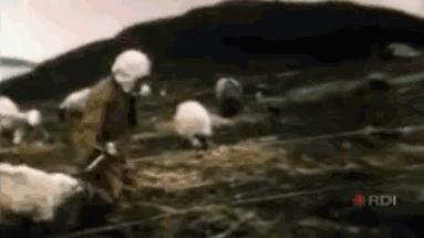 不是药嗑多了，加拿大怎么可能制造出这种“毒器”？｜局器