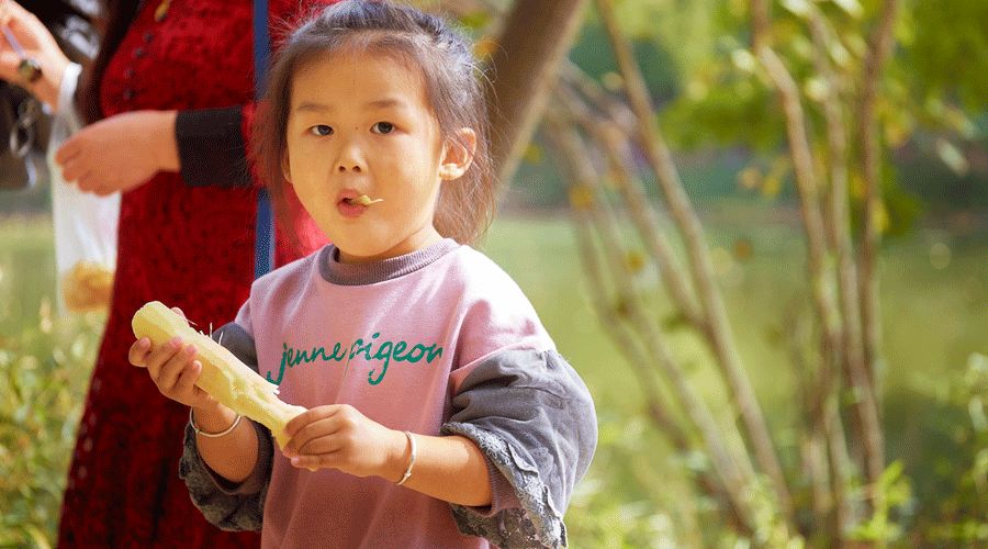 苦过才能回甘,茶苦回甘诗歌