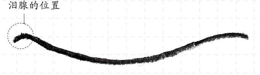 最简单的眼睛画法教程,零基础画画眼睛教程图片