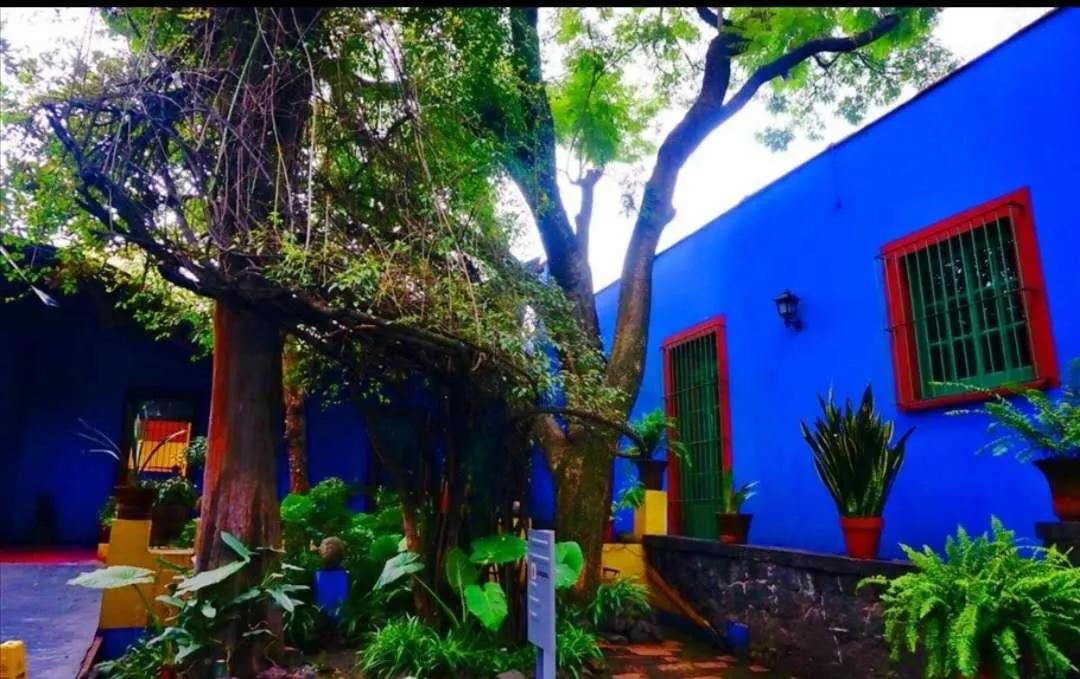 弗里达最著名的画,弗里达的画图片