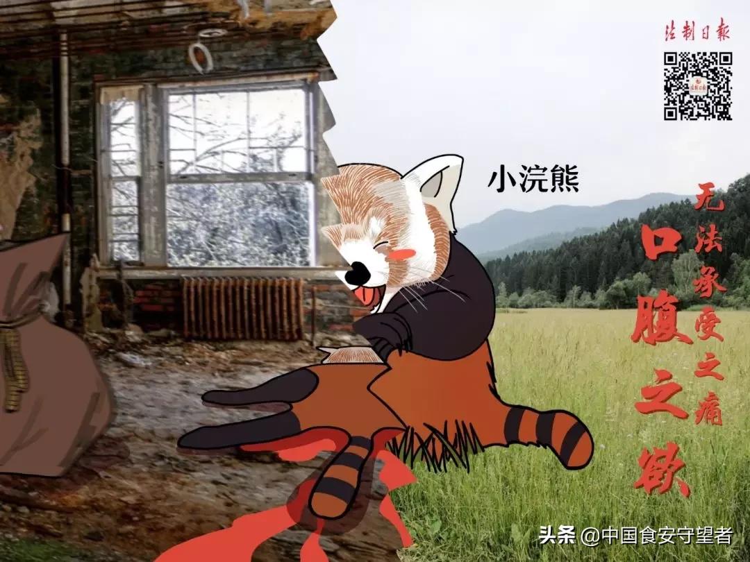 40种野生动物是哪些不能吃的,能吃的野生动物有哪些